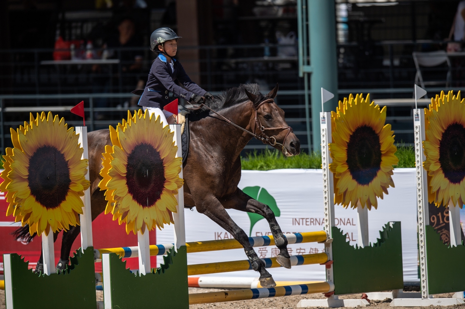 九游娱乐官方网站-比利时新星闪耀赛场被誉为未来之星